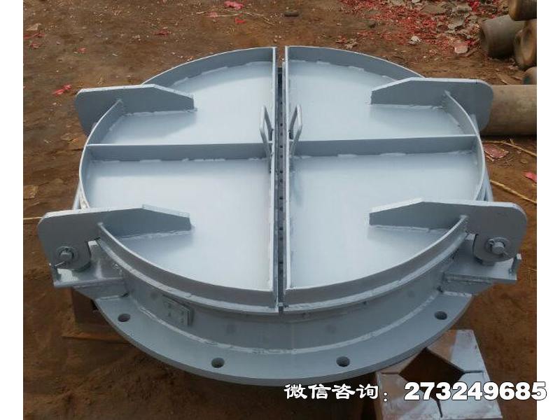 牟定县市政管道钢制拍门