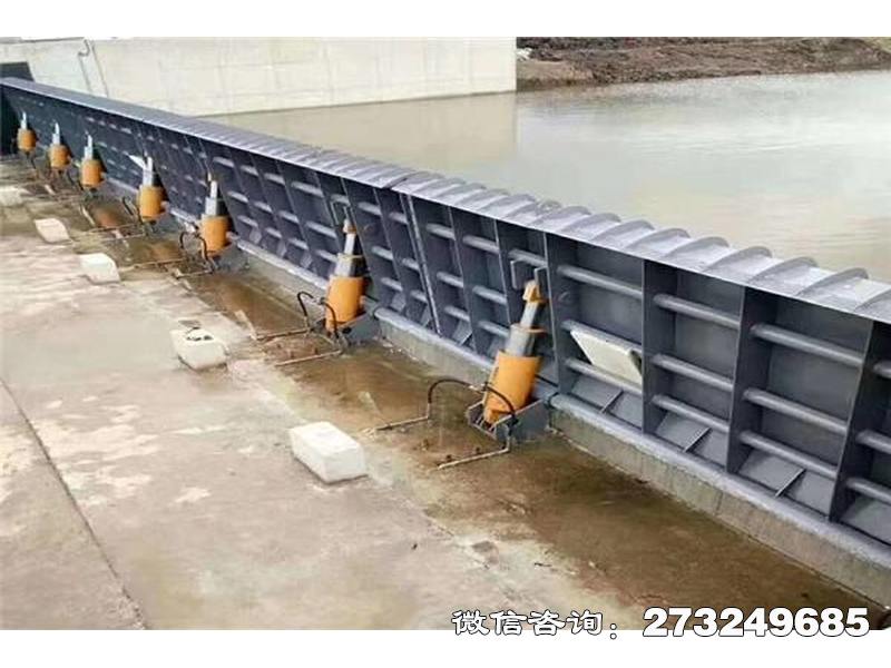 牟定县翻板闸门坝